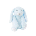 Blue Bunny image 0