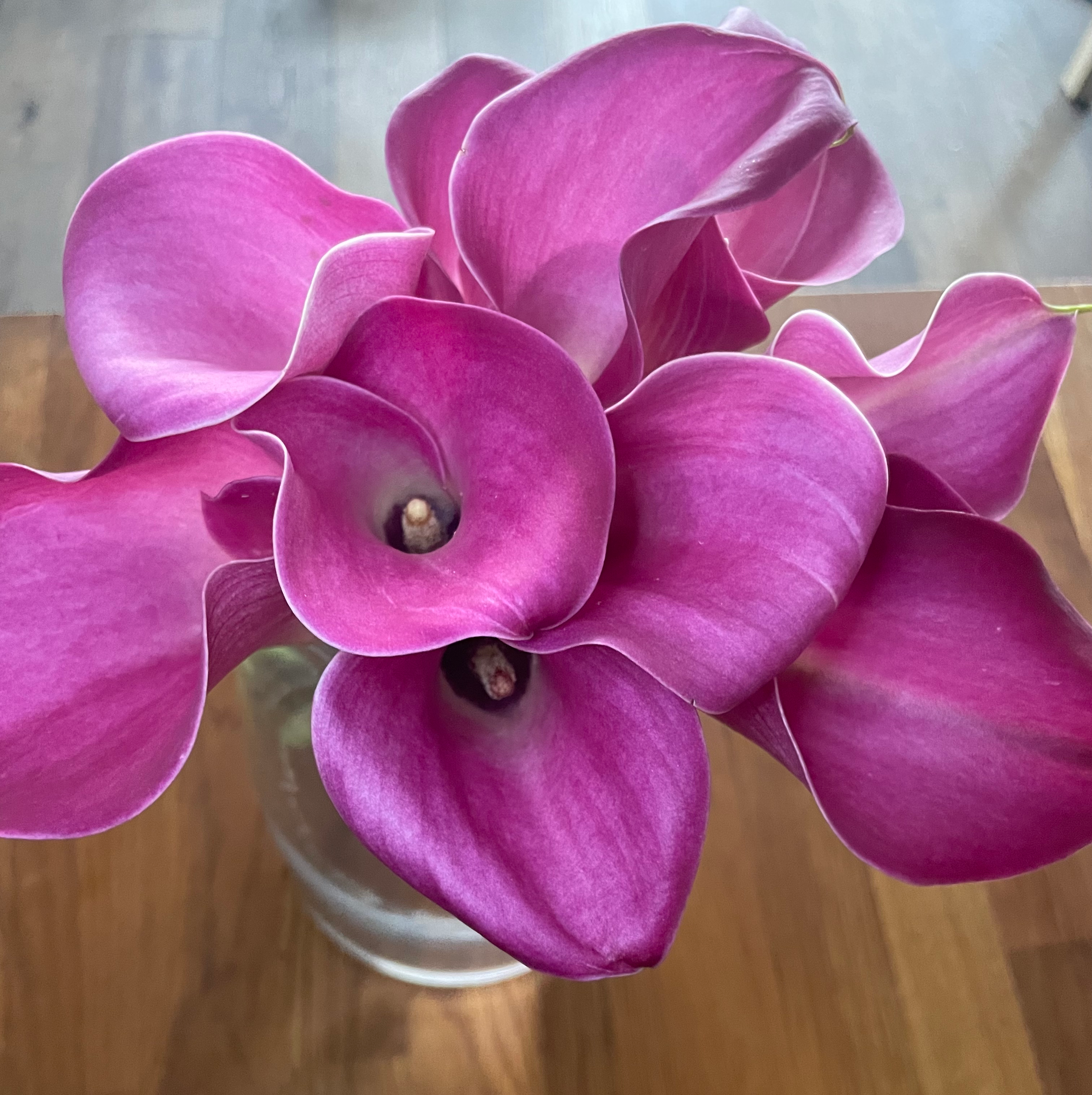 Calla Lily Bouquet image 0