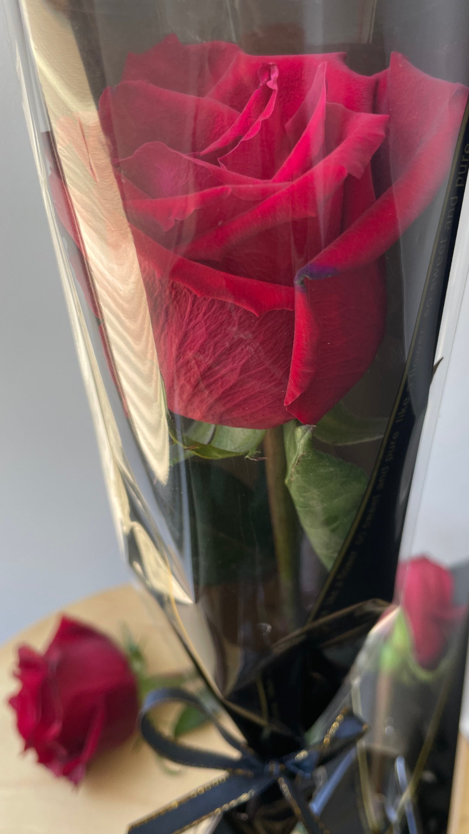 Single Rose image 0