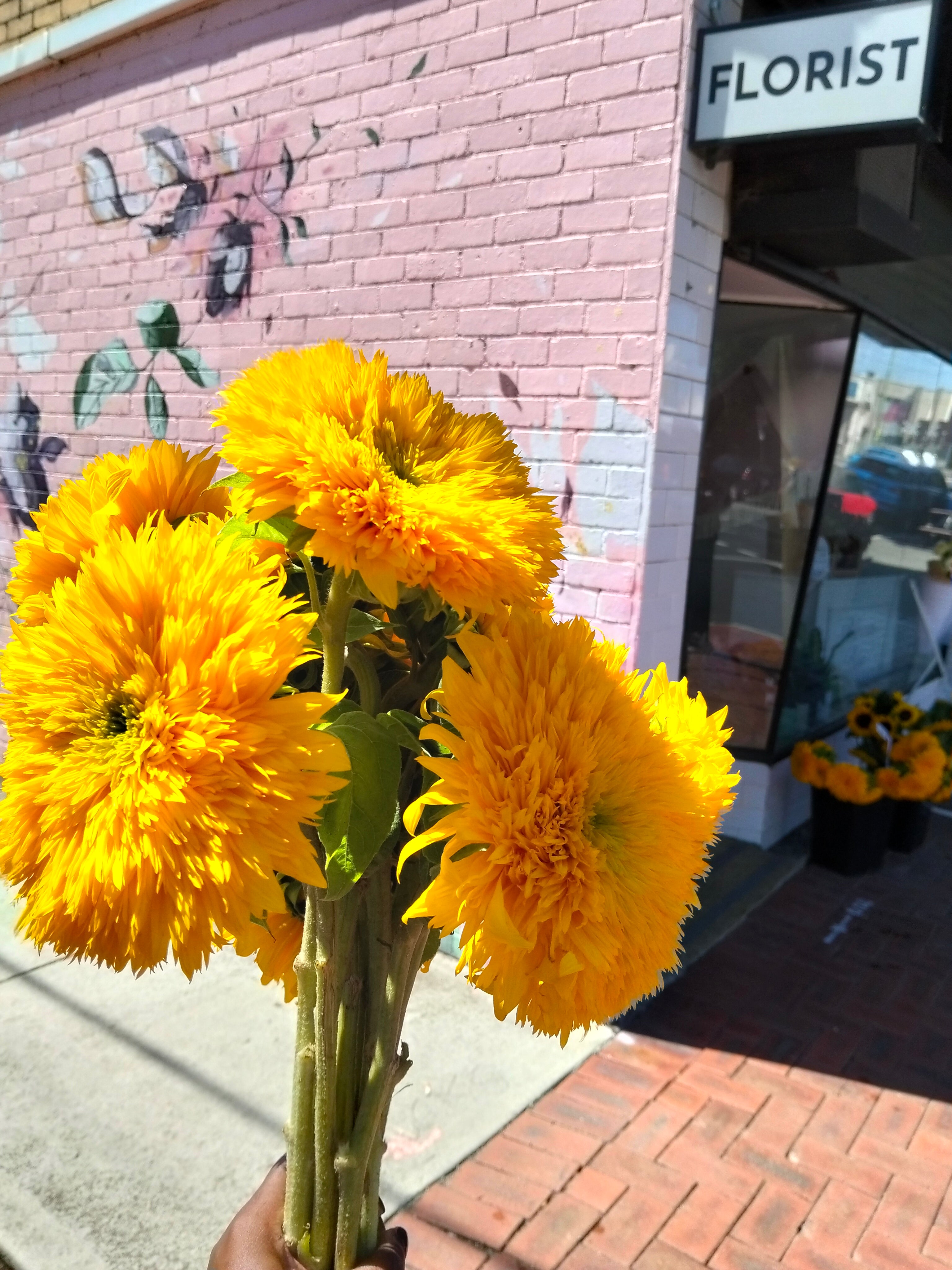 Teddy Bear Sunflowers Bunch