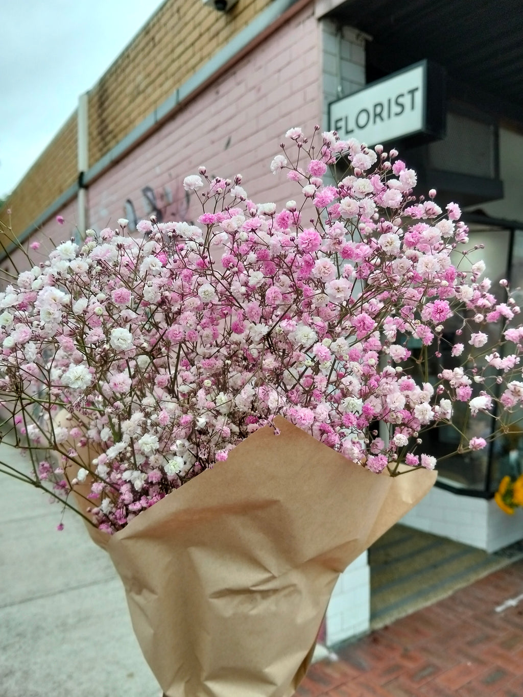 Baby's Breath