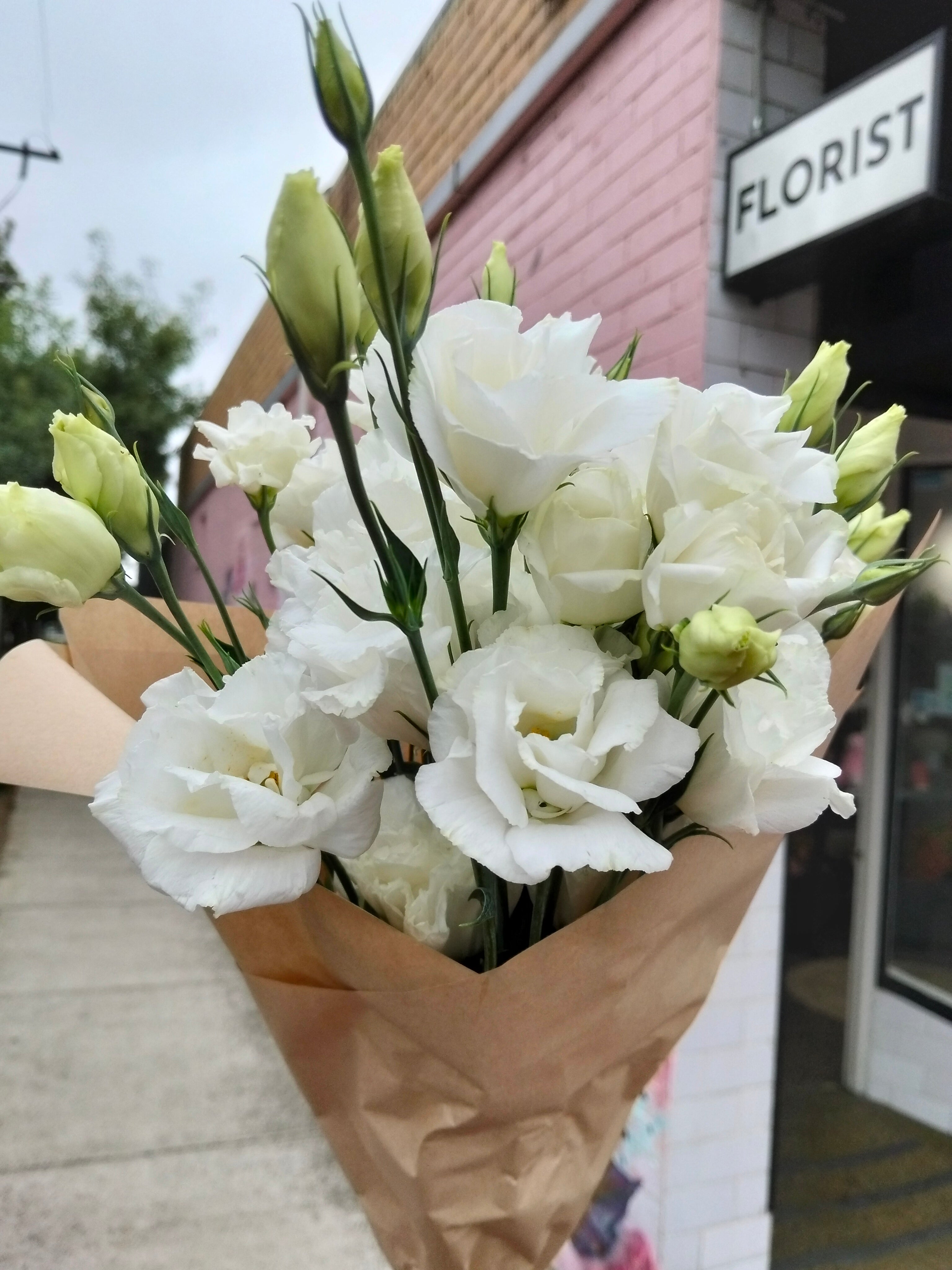 Lisianthus