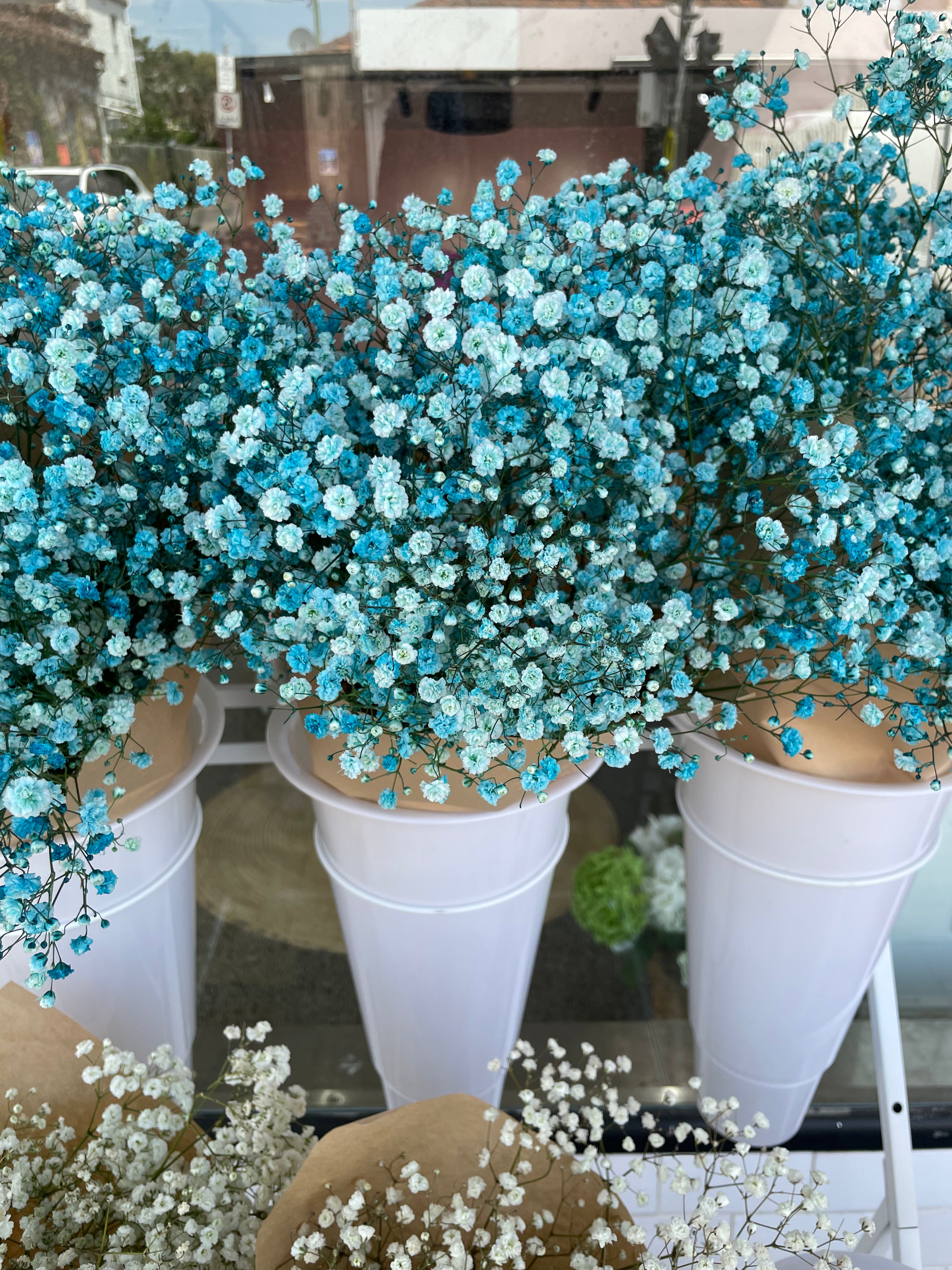 Baby's Breath