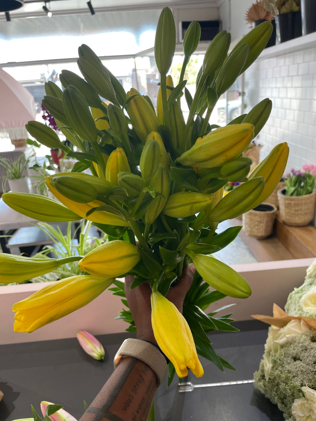 LA Lilies