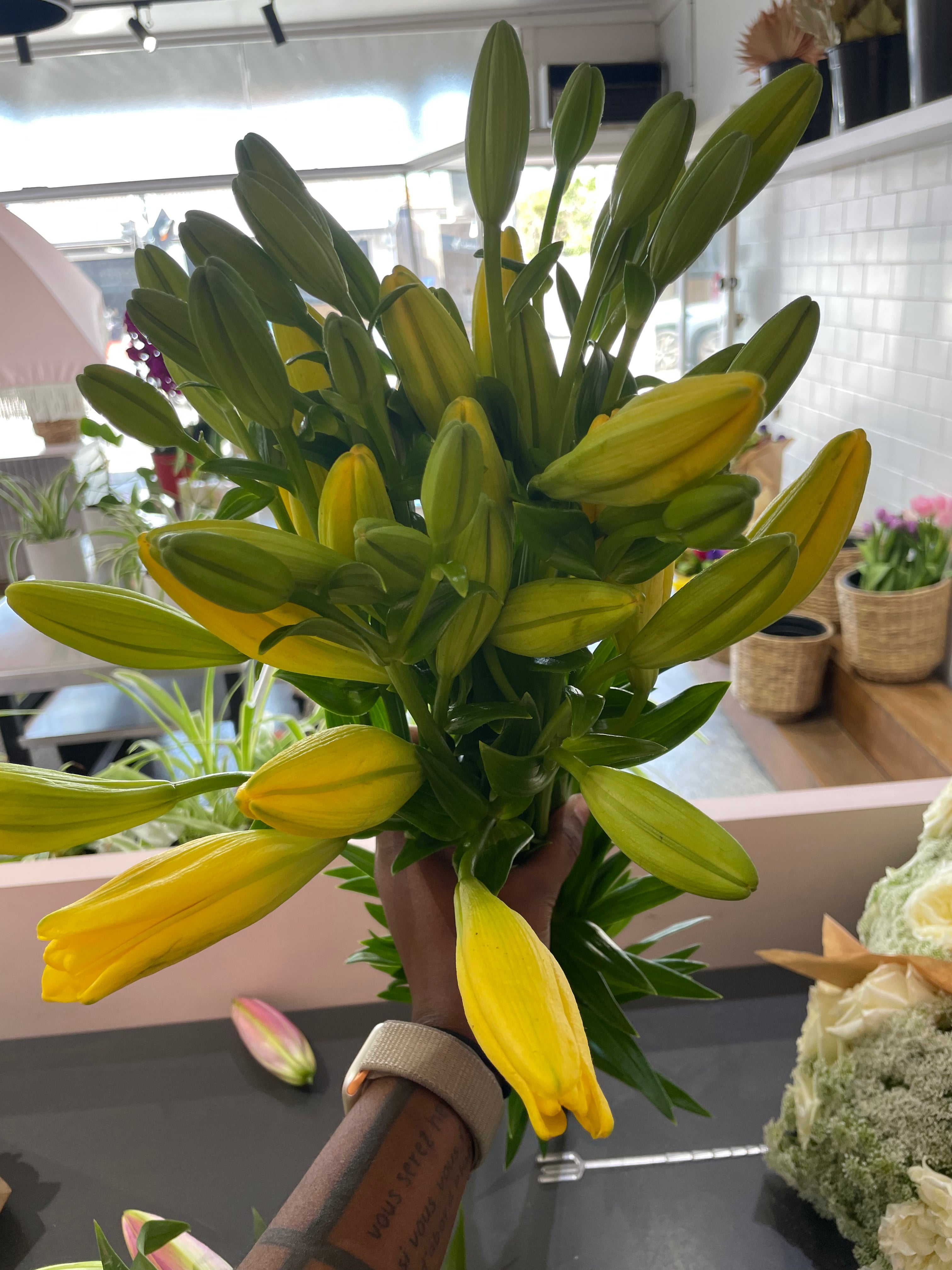 LA Lilies