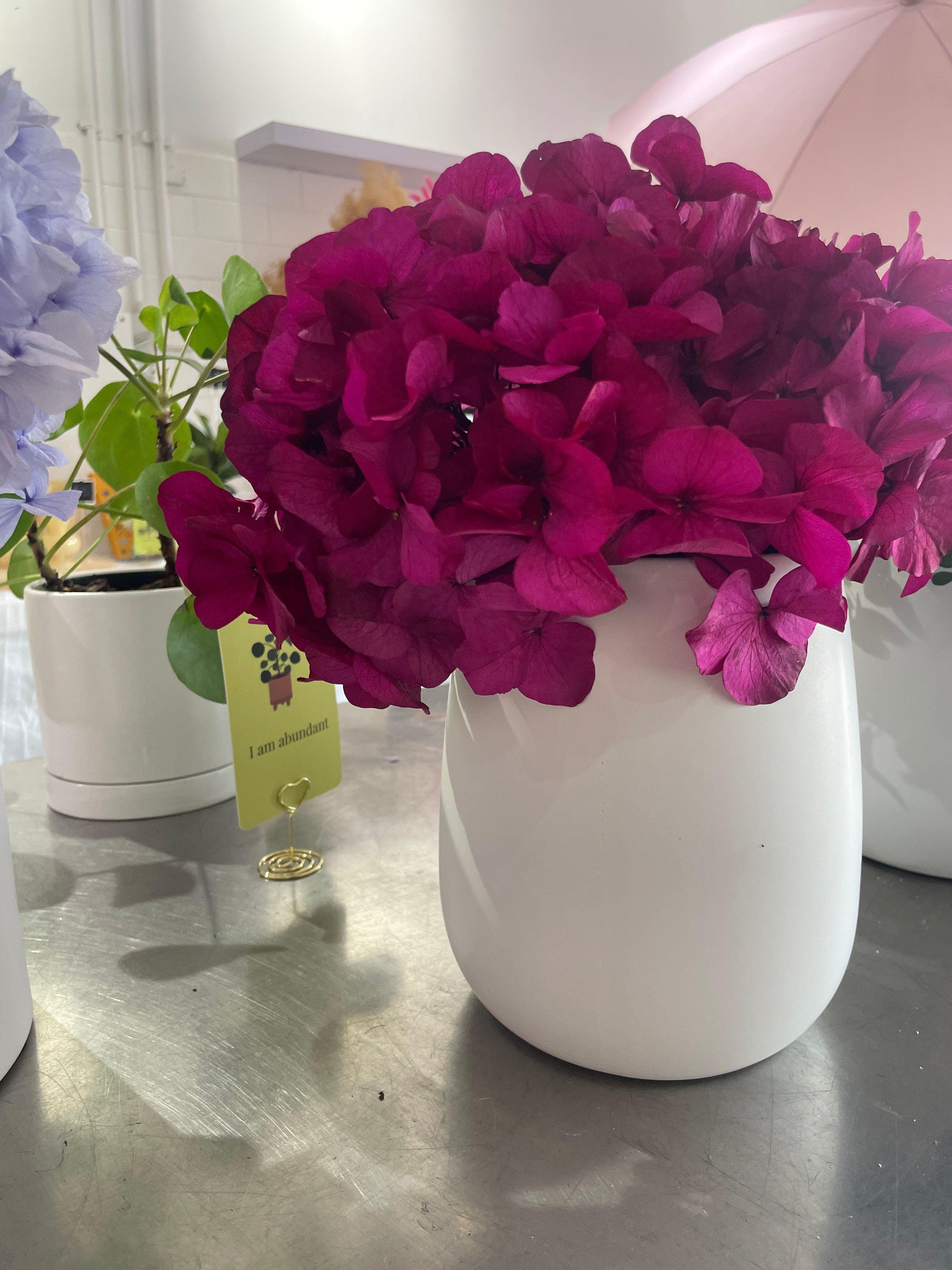 Preserved Hydrangeas in Medium Vase