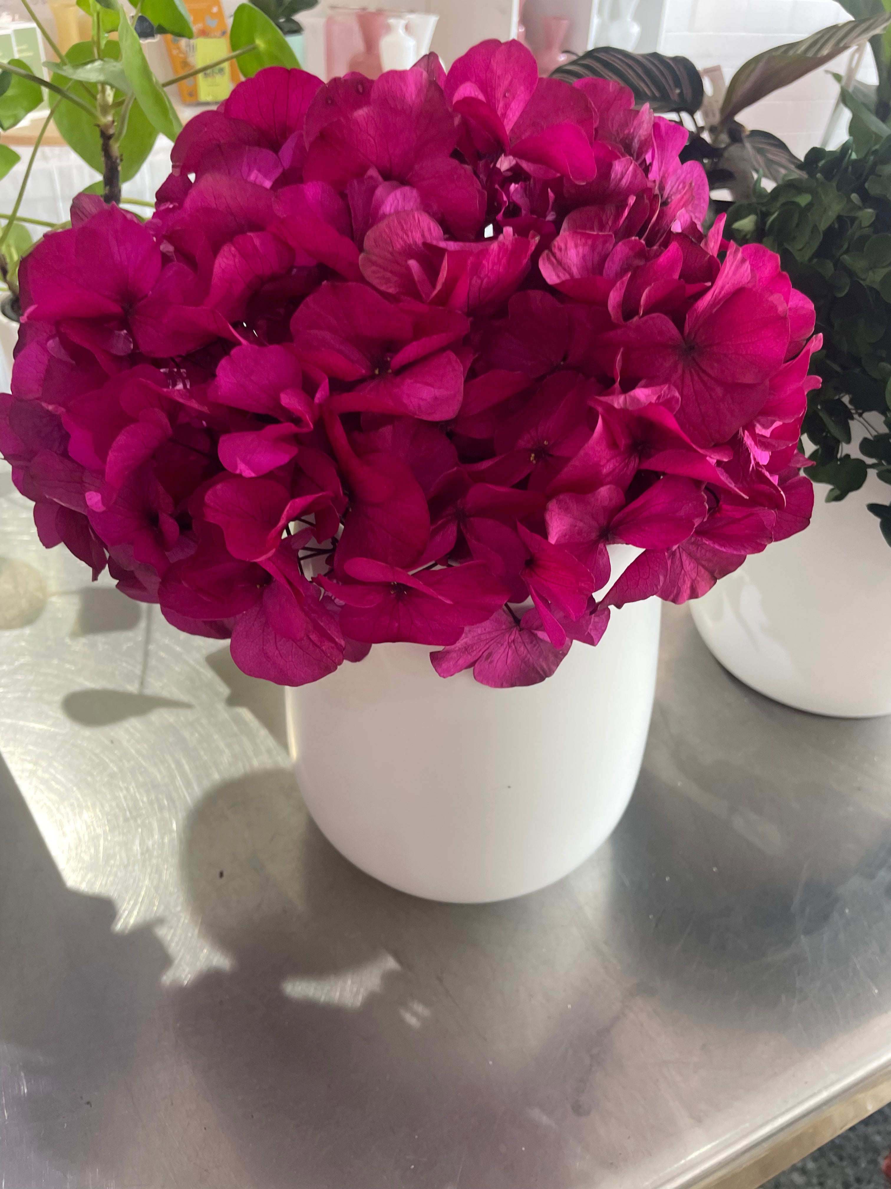 Preserved Hydrangeas in Medium Vase