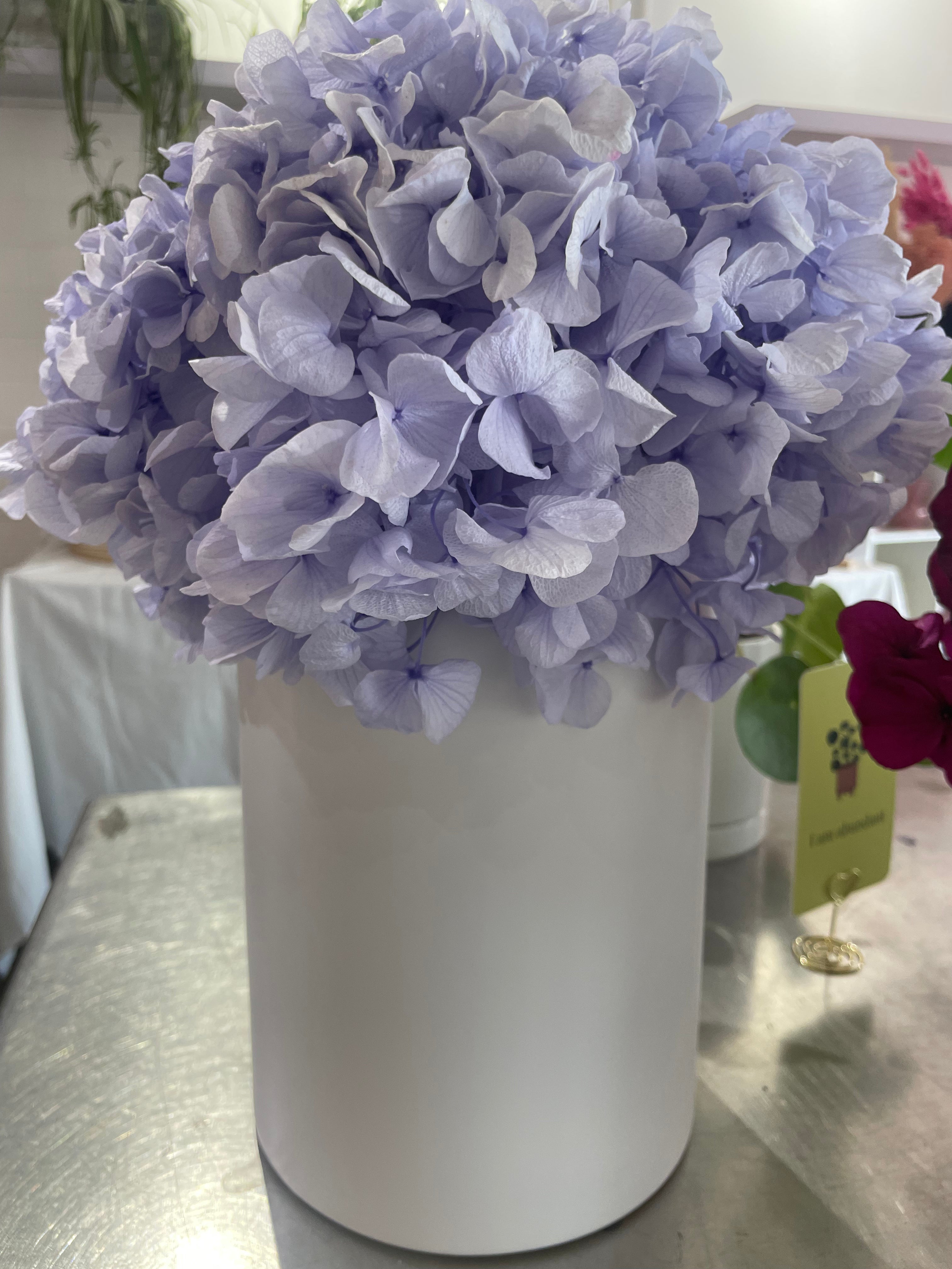 Preserved Hydrangeas in Large Vase