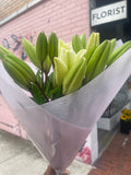 LA Lilies