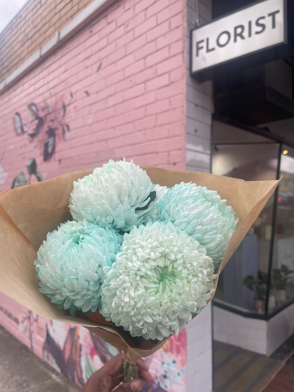Disbud