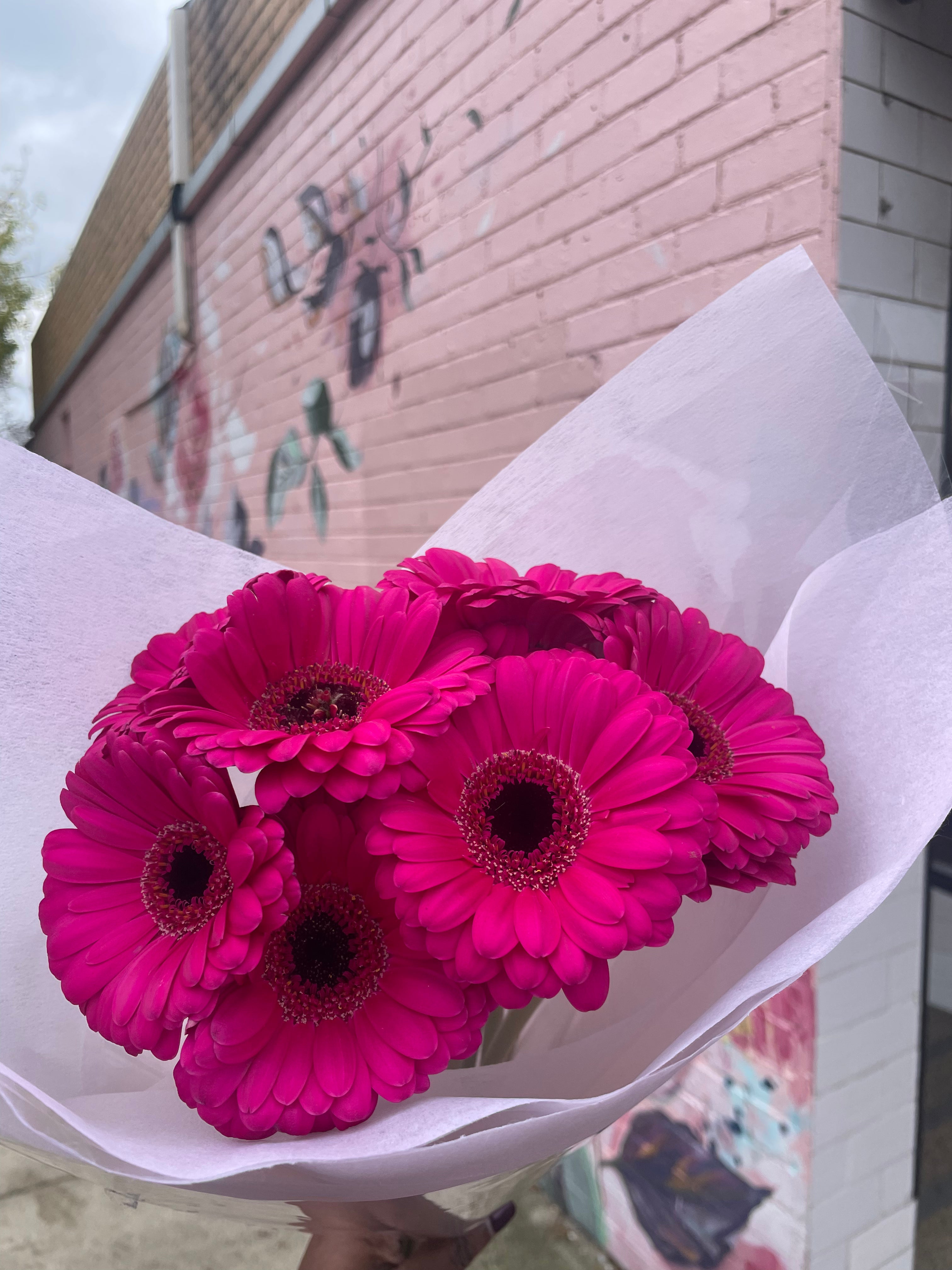 Gerbera Bunch