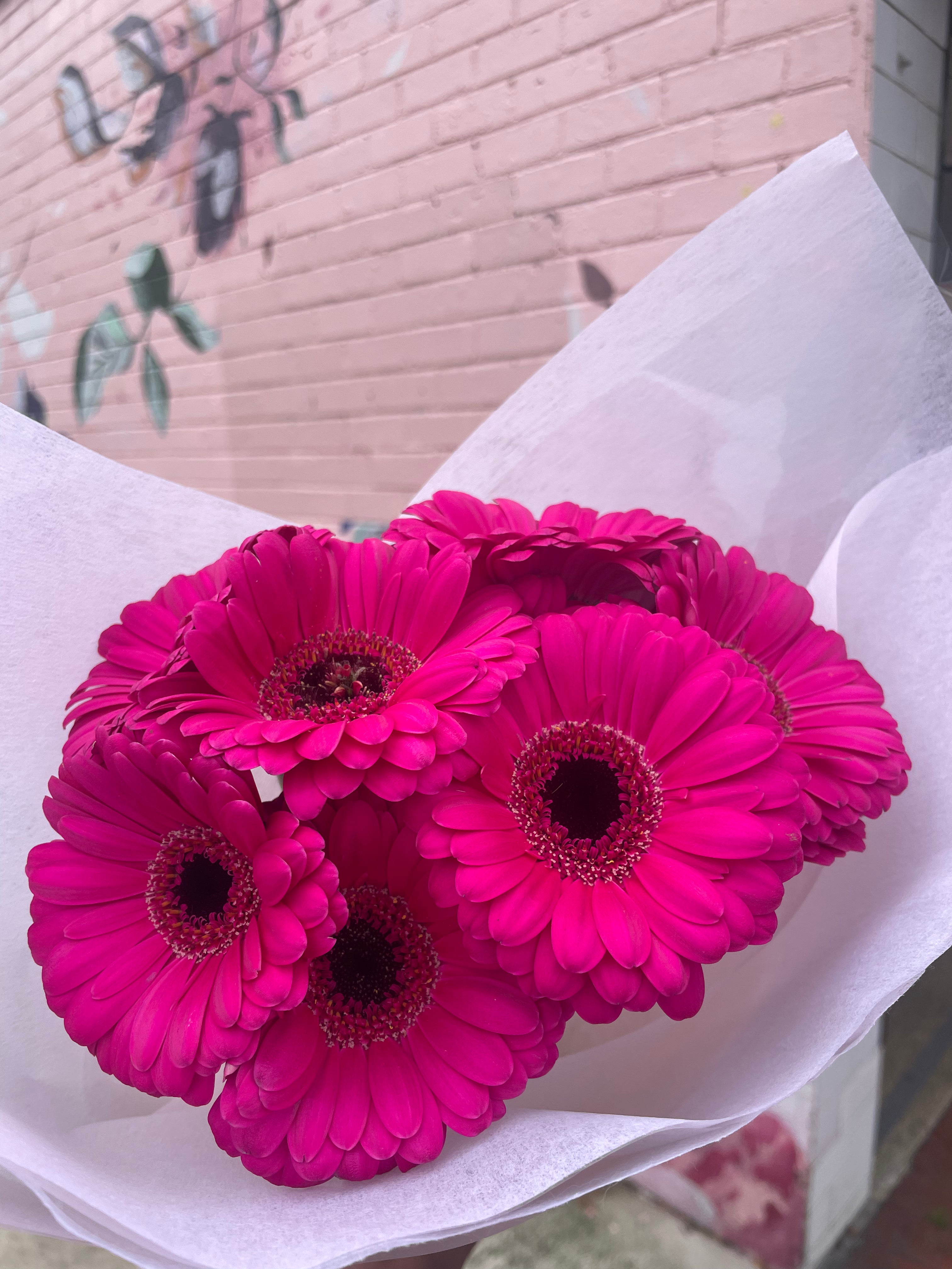 Gerbera Bunch