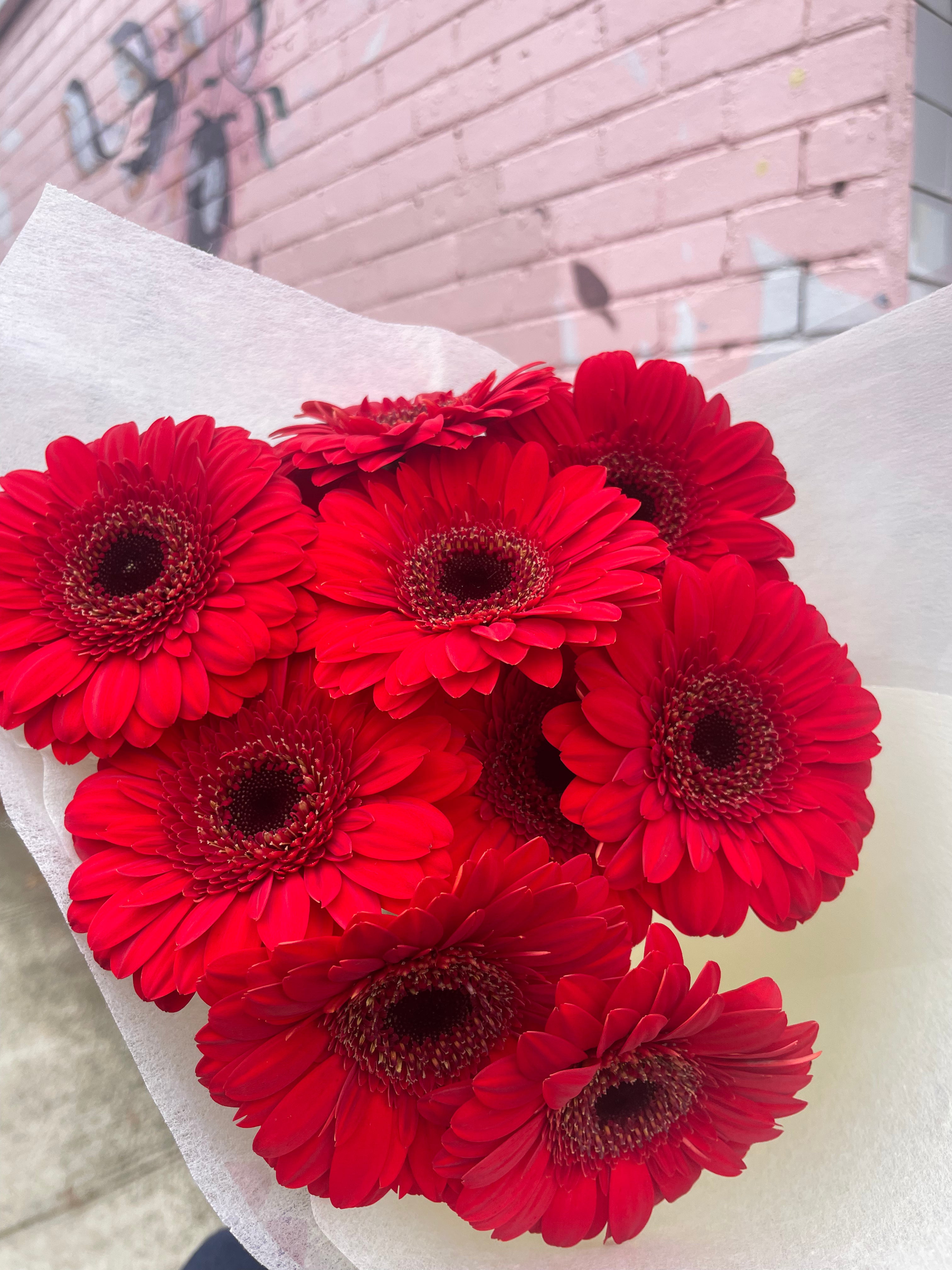 Gerbera Bunch