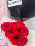 Gerbera Bunch