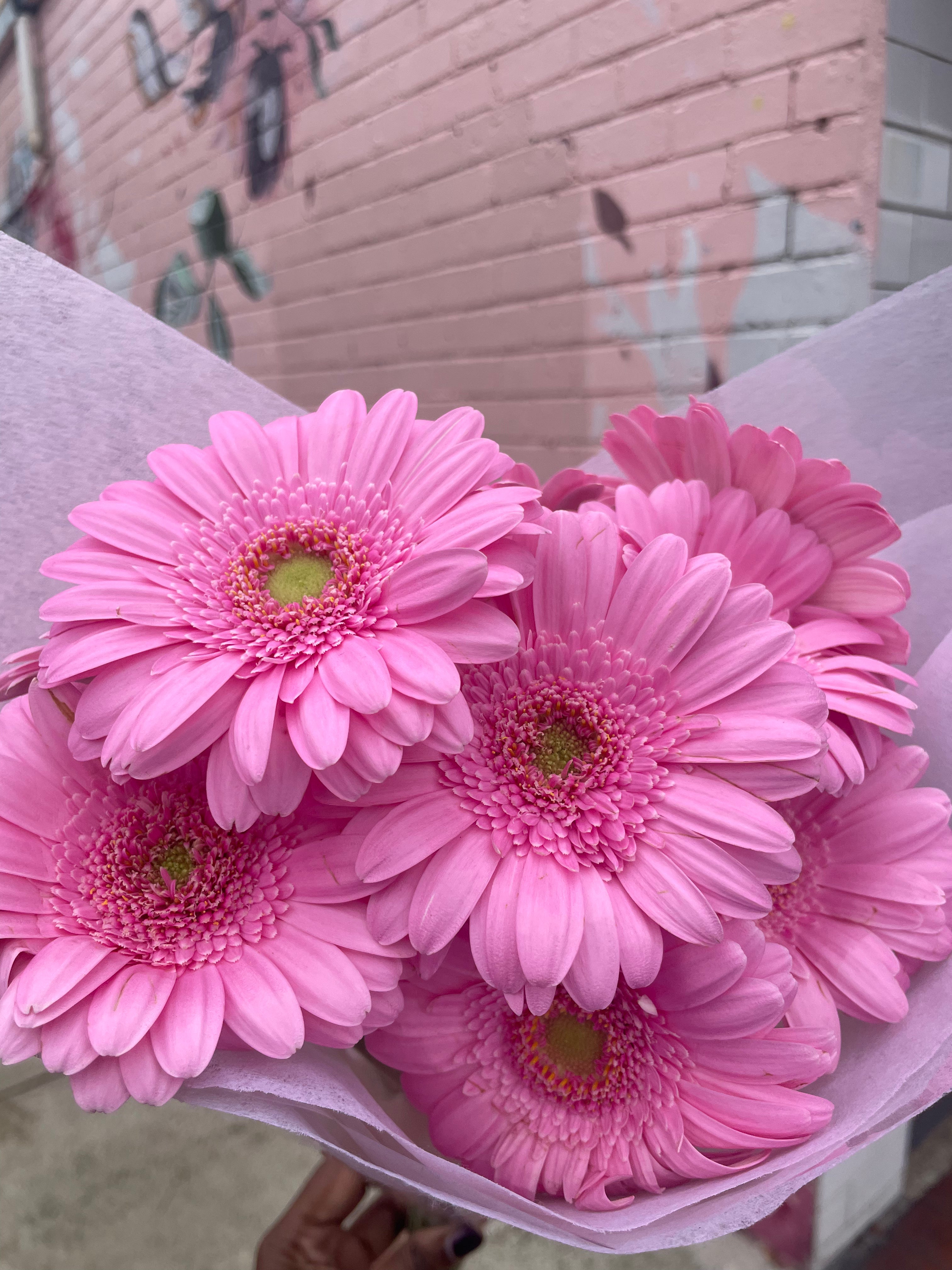 Gerbera Bunch
