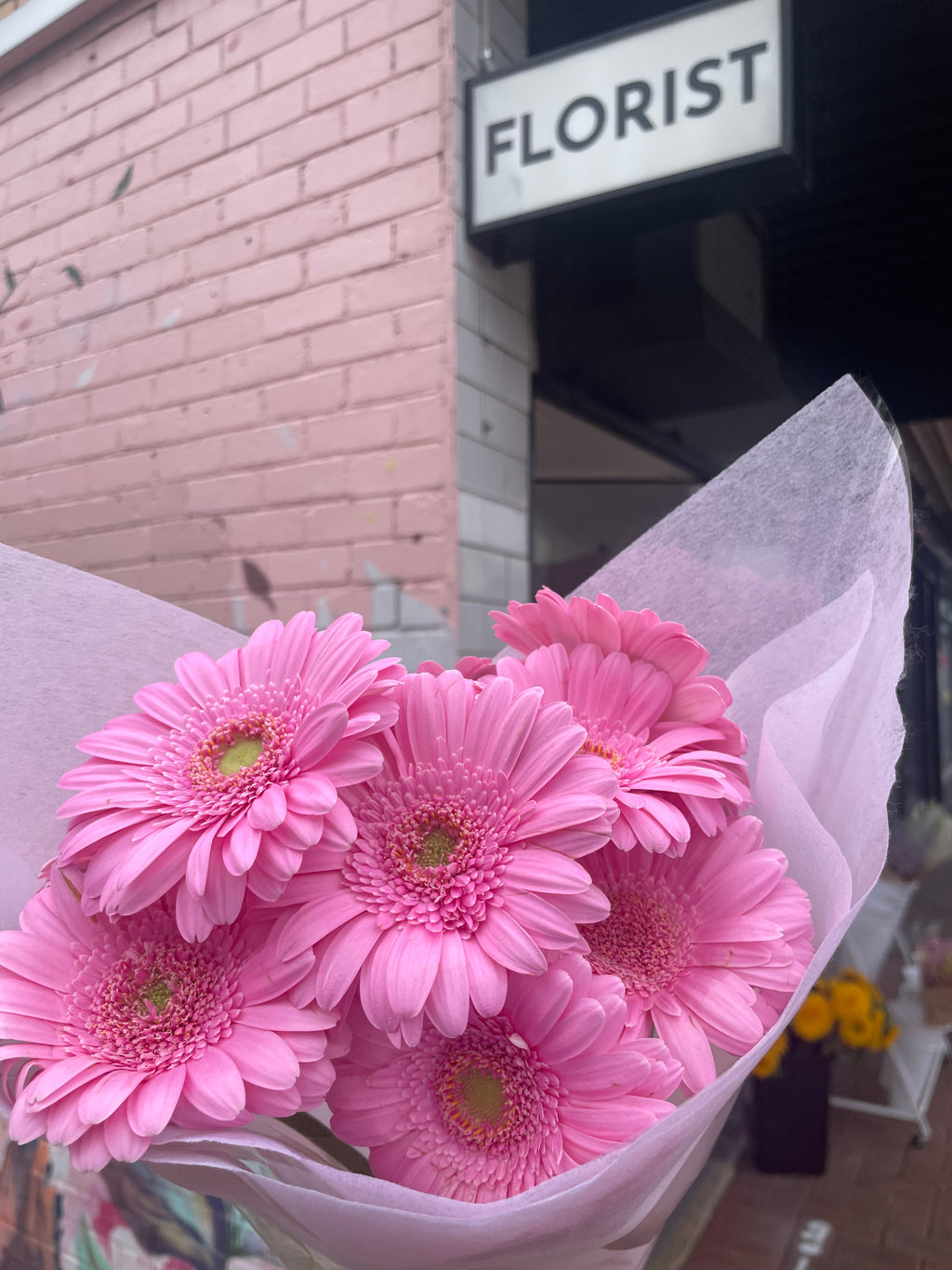 Gerbera Bunch