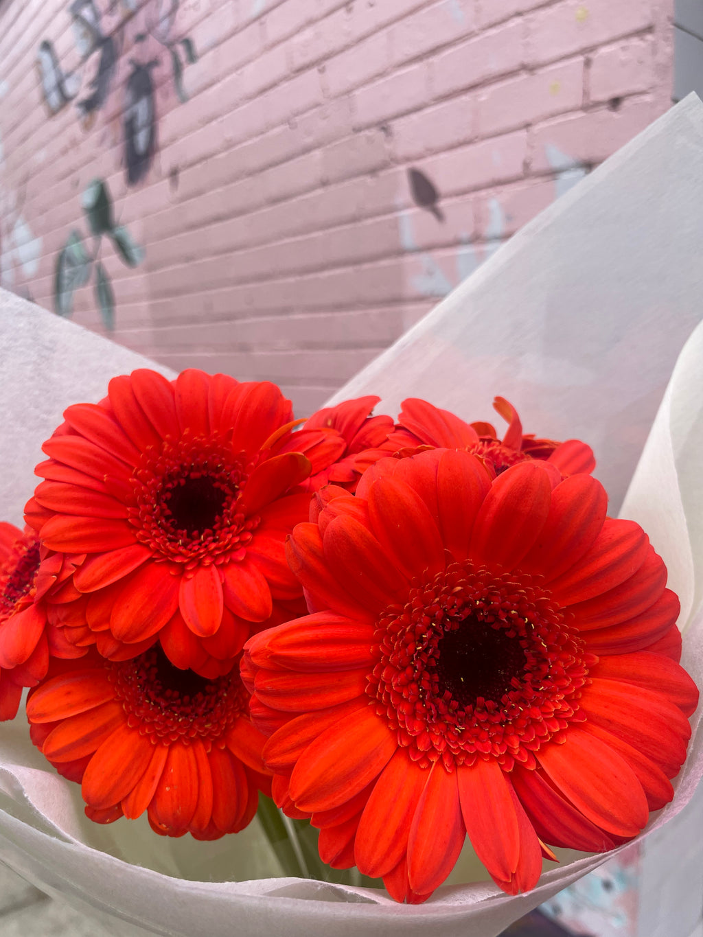 Gerbera Bunch