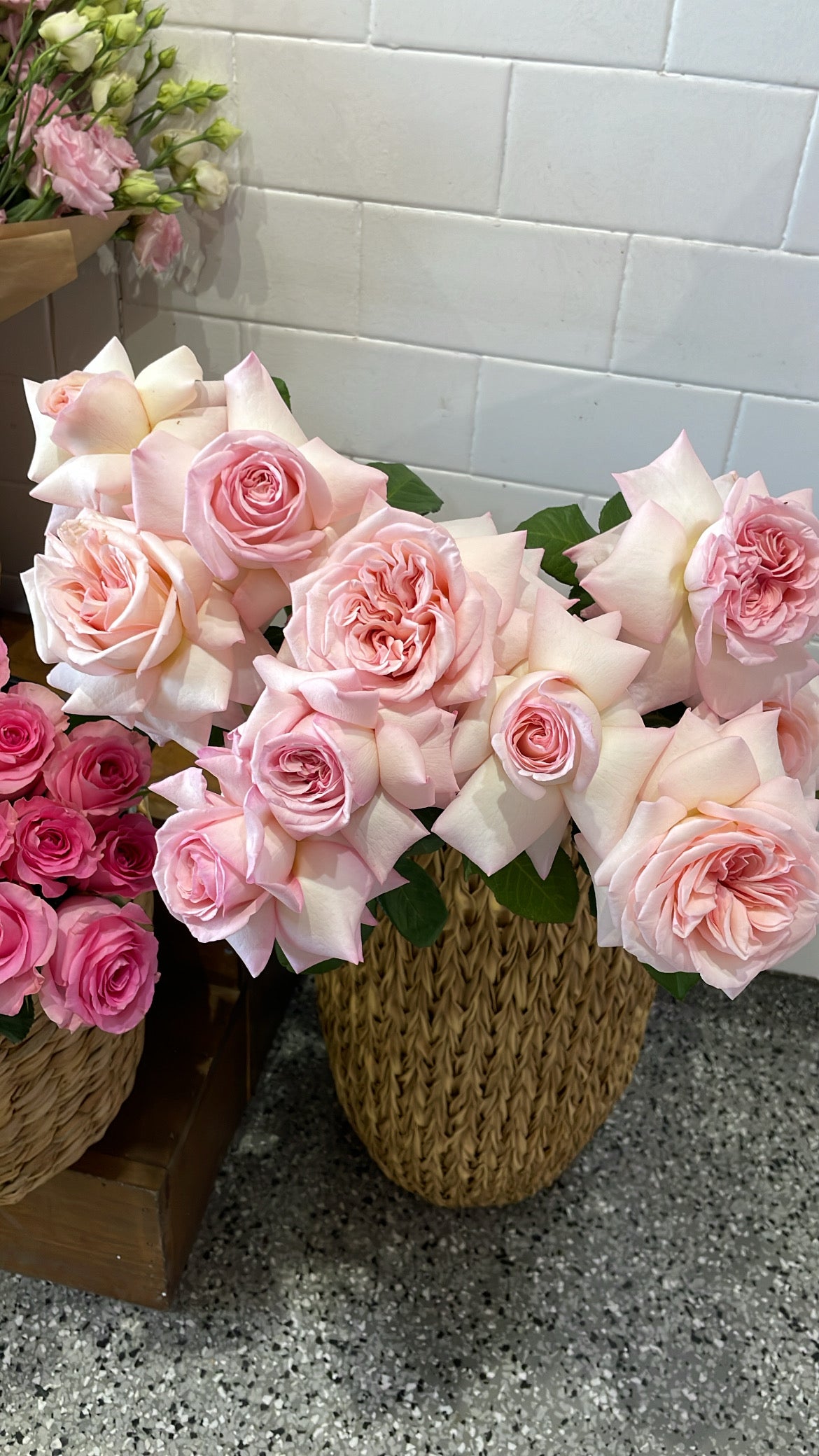 Single Rose image 1
