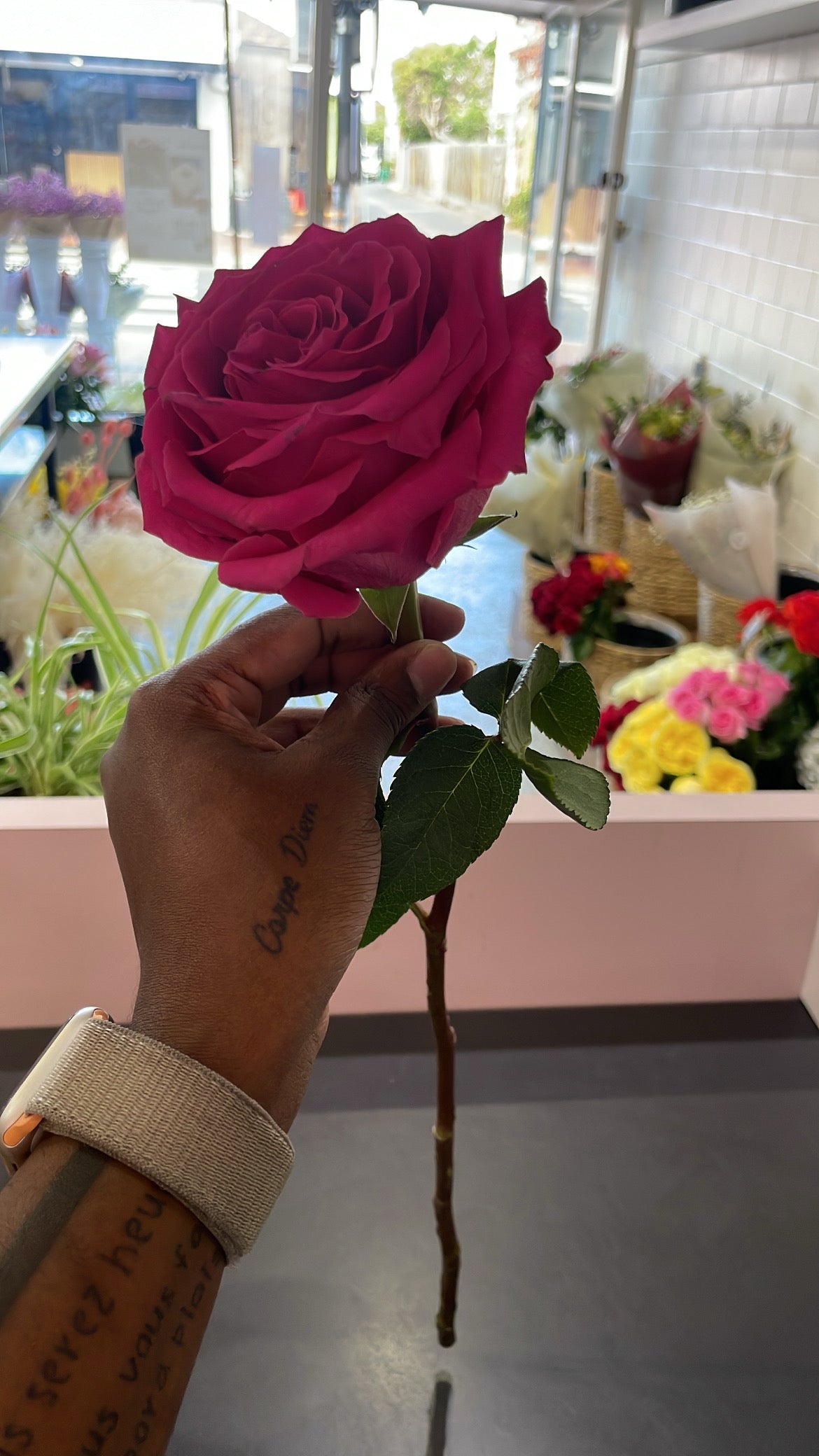 Single Rose image 3